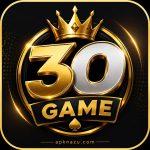 30 Game