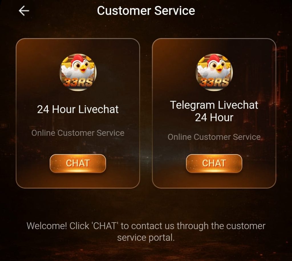33RS Game support interface