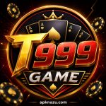 T999 Game