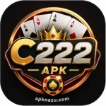 C222 APK official logo