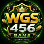 Official WGS456 Game logo with modern design